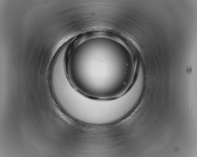 X0000090441026200707201249