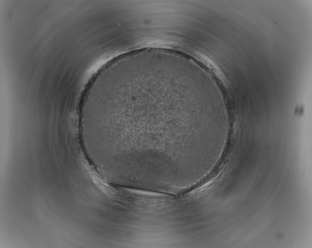 X0000090441027200707201249