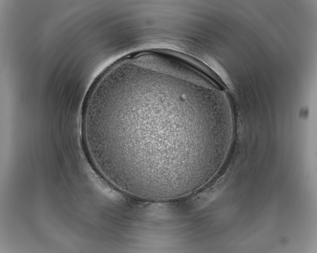 X0000090441028200707201249