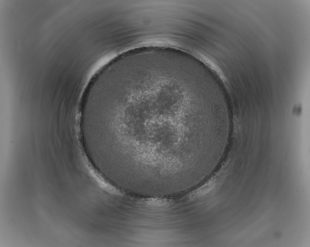 X0000090441029200707201249