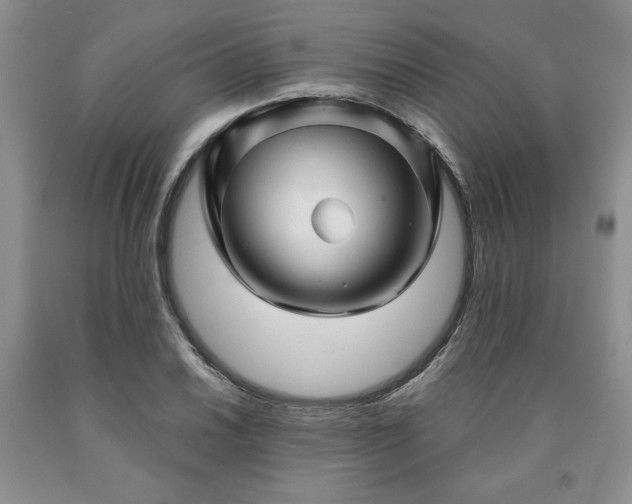 X0000090441030200707201249