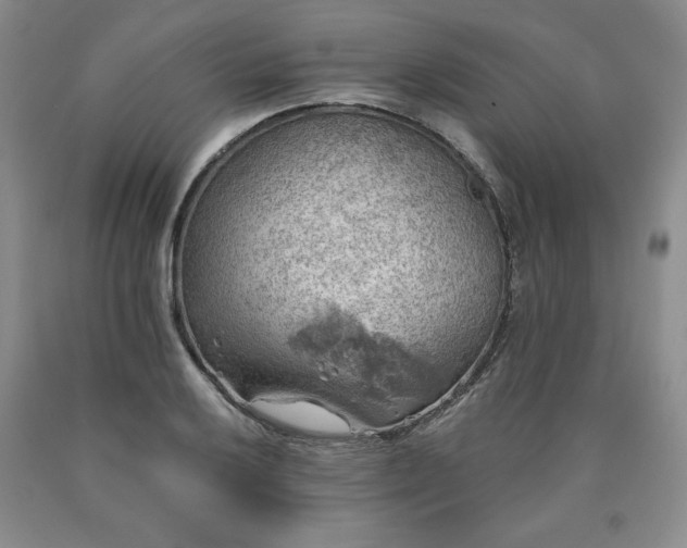 X0000090441032200707201249