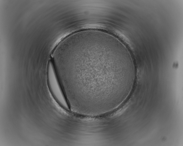 X0000090441033200707201249