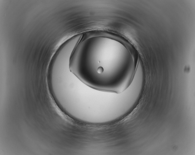 X0000090441034200707201249