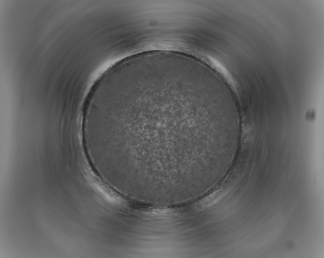 X0000090441035200707201249