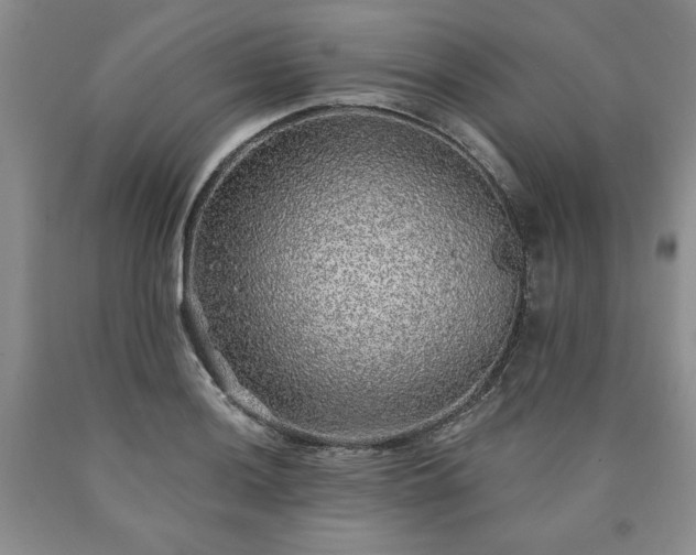 X0000090441036200707201249