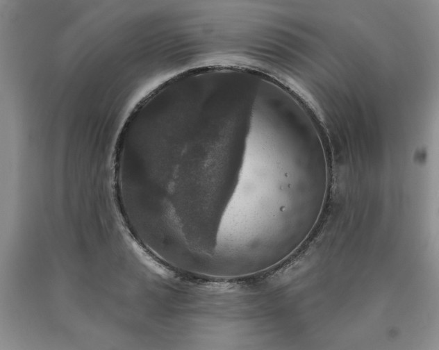 X0000090441037200707201249