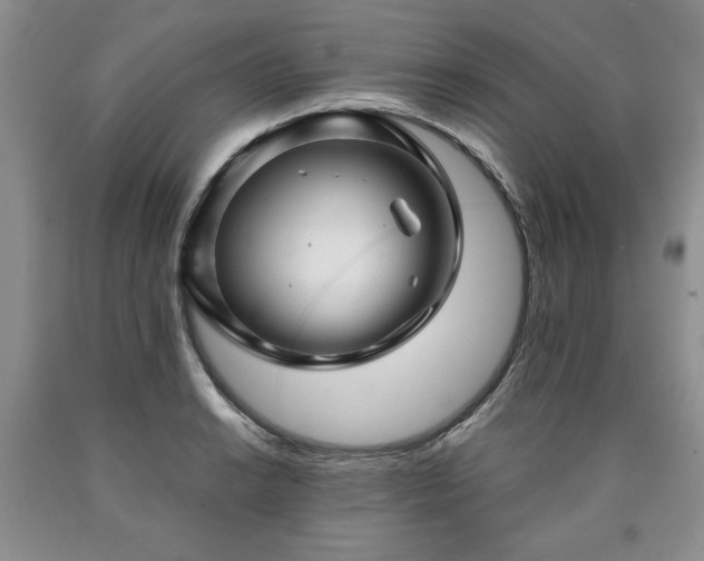 X0000090441038200707201249