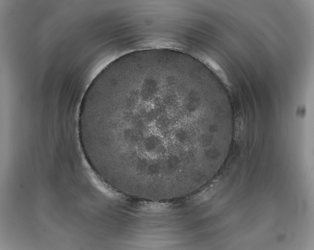 X0000090441039200707201249