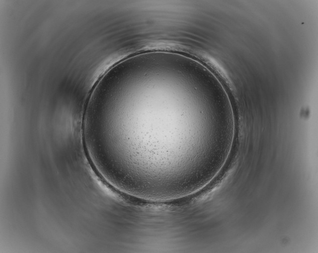 X0000090441041200707201249