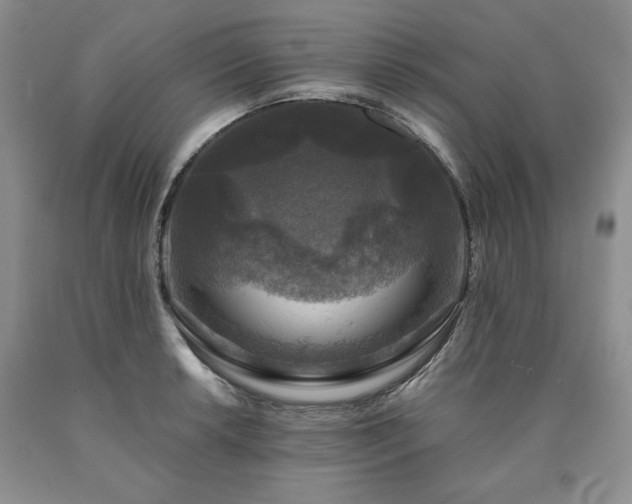 X0000090441042200707201249