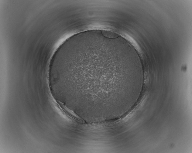 X0000090441043200707201249