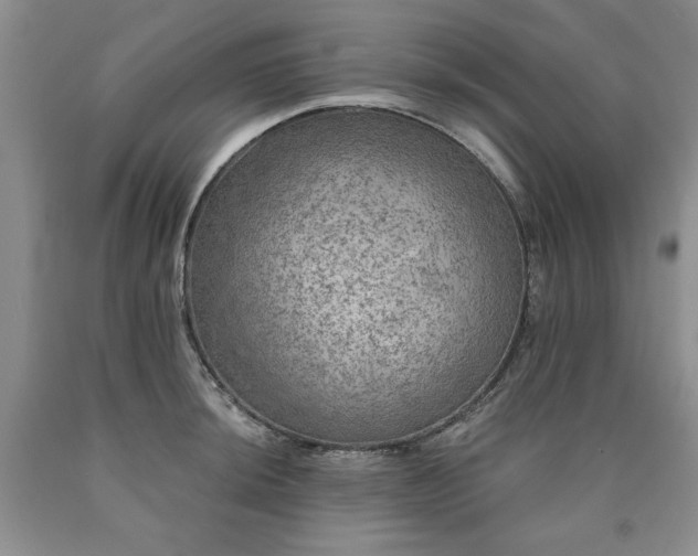 X0000090441044200707201249