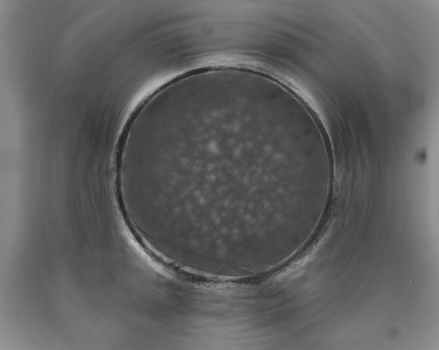 X0000090441045200707201249