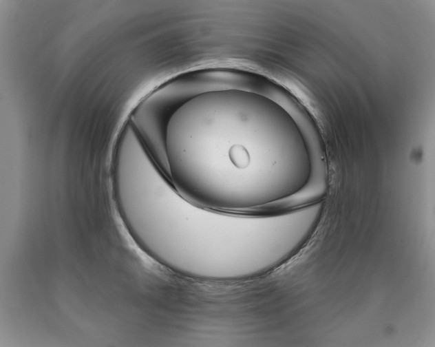 X0000090441046200707201249