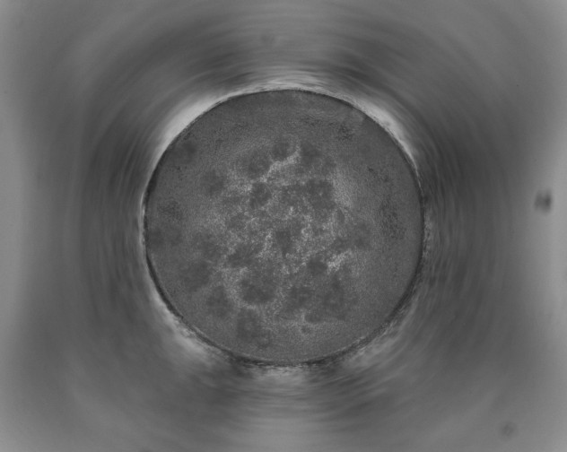 X0000090441047200707201249