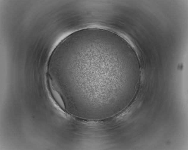 X0000090441048200707201249