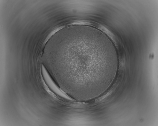 X0000090441049200707201249