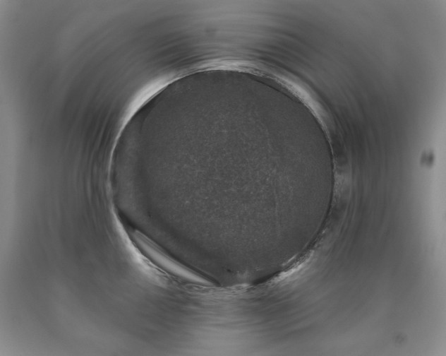 X0000090441050200707201249