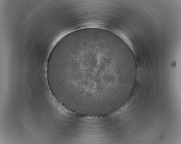 X0000090441051200707201249