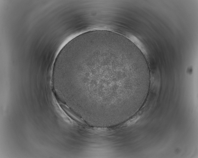 X0000090441052200707201249