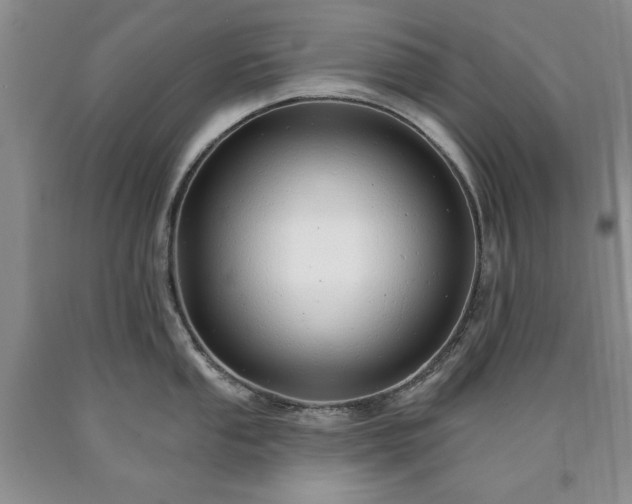 X0000090441053200707201249