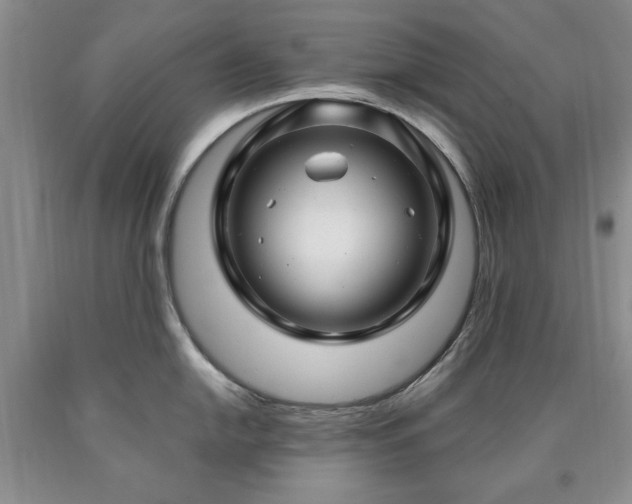 X0000090441054200707201249