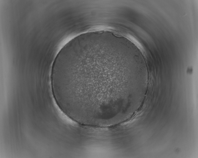 X0000090441055200707201249