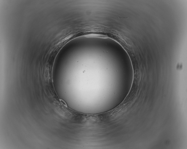 X0000090441058200707201248