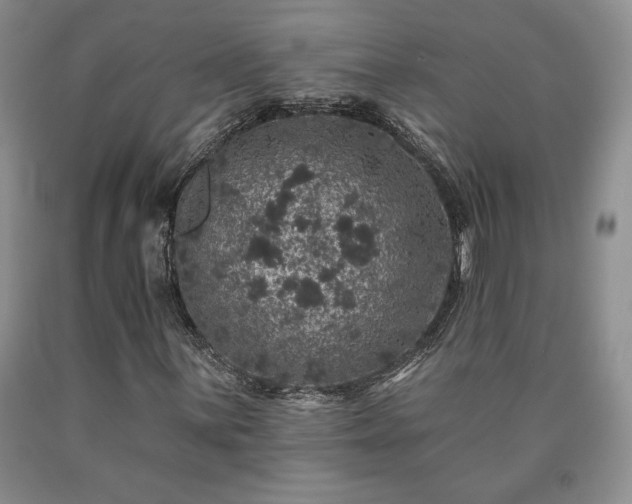 X0000090441059200707201248