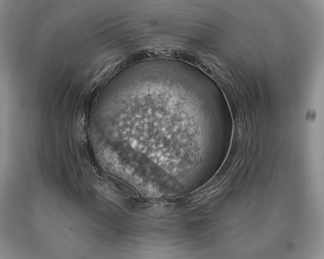 X0000090441060200707201248