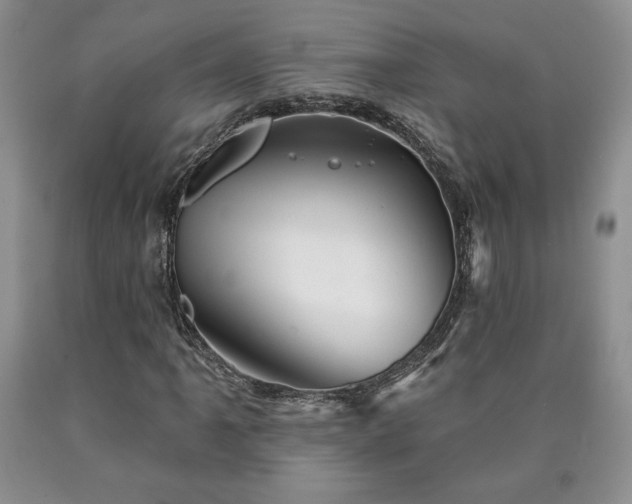 X0000090441061200707201248