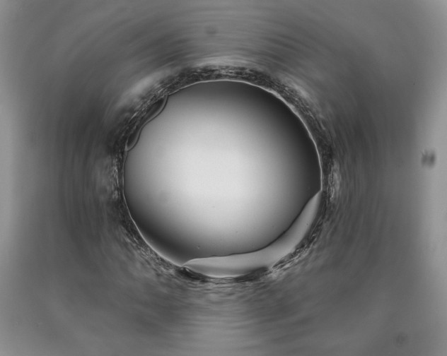 X0000090441062200707201248