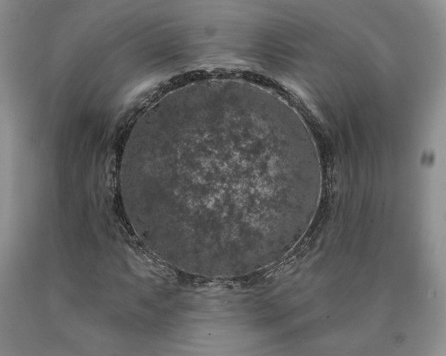 X0000090441063200707201248