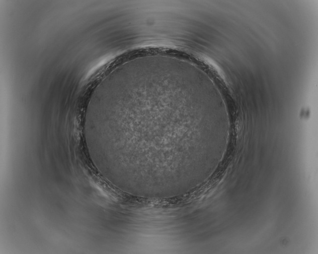 X0000090441064200707201248