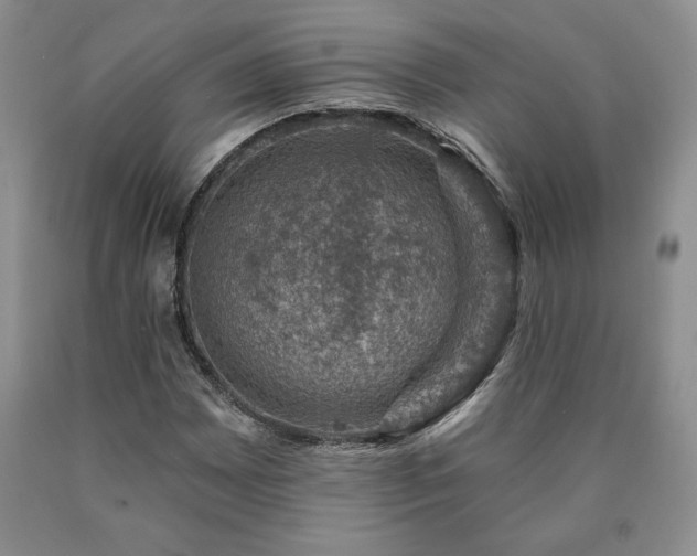 X0000090441065200707201248