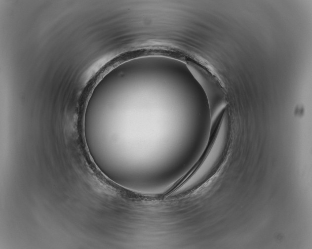 X0000090441066200707201248