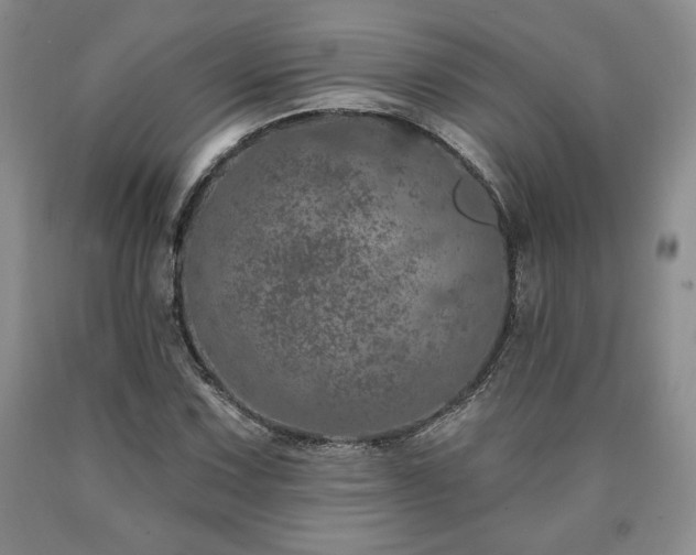 X0000090441067200707201248