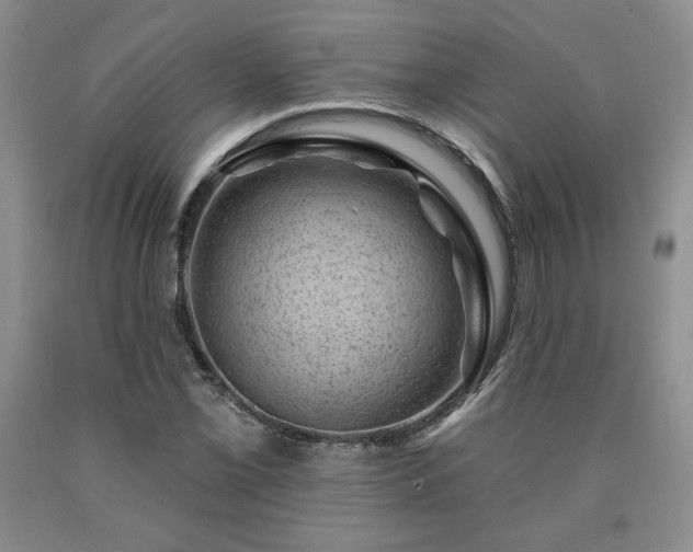 X0000090441069200707201248