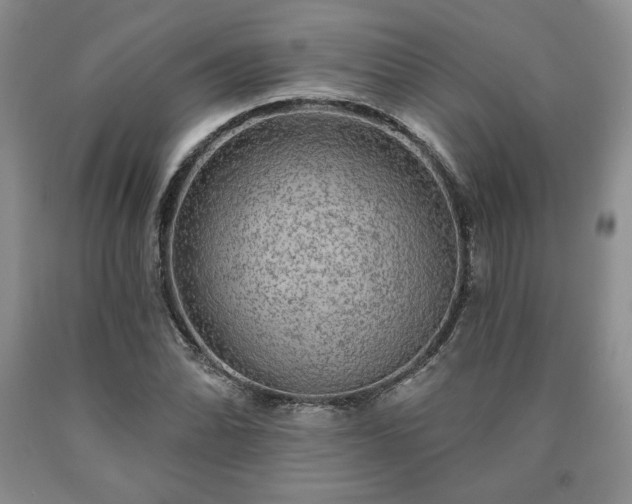 X0000090441070200707201248