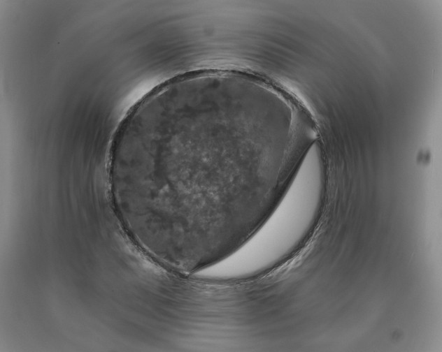 X0000090441071200707201248