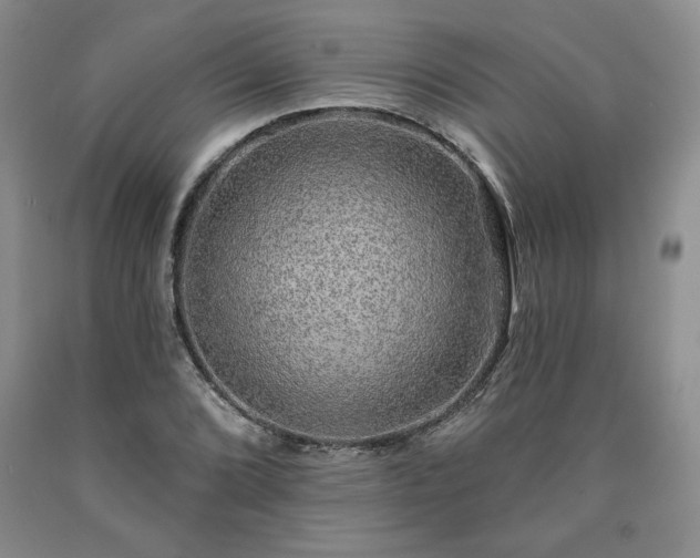 X0000090441072200707201248