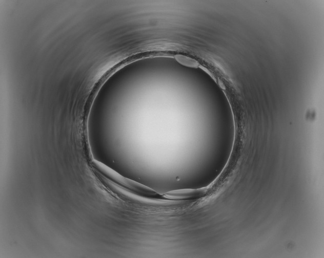 X0000090441073200707201248