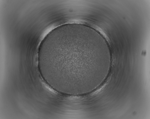 X0000090441075200707201248