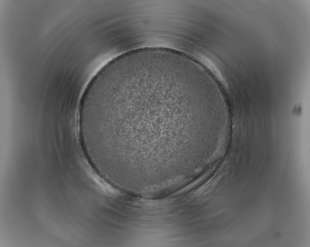 X0000090441076200707201248