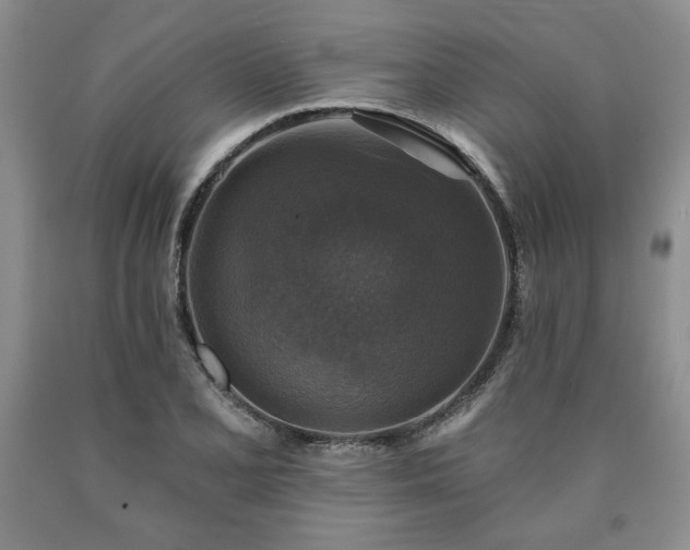 X0000090441077200707201248