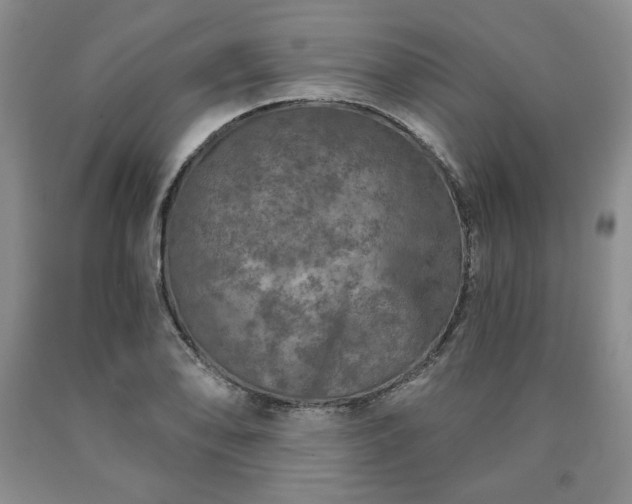 X0000090441078200707201248