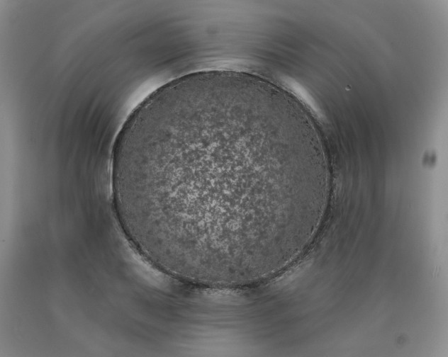 X0000090441079200707201248