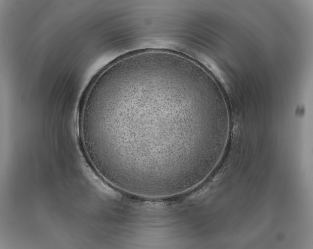 X0000090441080200707201248