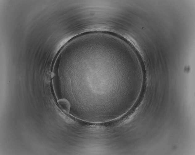 X0000090441081200707201248